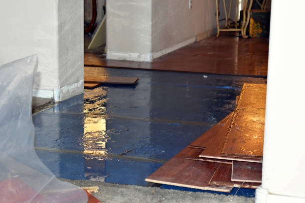 Professional Burst Pipe Cleanup technician working in Dacono, CO